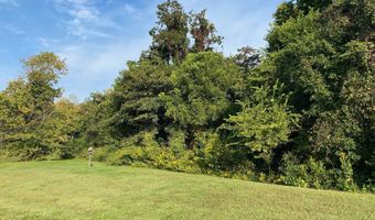Bayside Boulevard lot 66, Bean Station, TN 37708