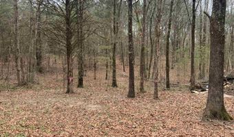327 Pine Timber Ln, Bee Branch, AR 72039