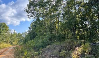 0 Military Rd, Beaverton, AL 35544