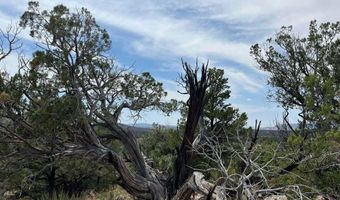 488 B & C Scorpion, Ash Fork, AZ 86320