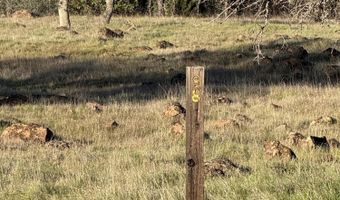 Buffalo Drive, Anderson, CA 96007