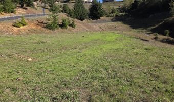 7771 ZOE Dr, Brookings, OR 97415