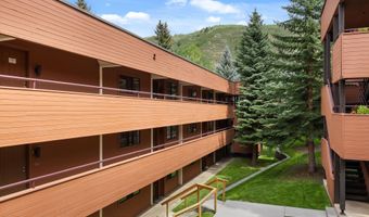 950 VINE St, Aspen, CO 81611