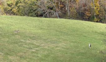 0 Lettered Oak Rd, Albany, KY 42602