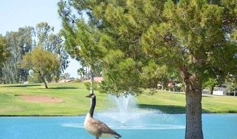 9119 E FAIRWAY Blvd, Sun Lakes, AZ 85248