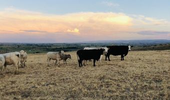 830 Snively Gulch Rd, Adrian, OR 97901
