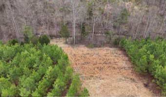 Old Courthouse Road, Appomattox, VA 24522