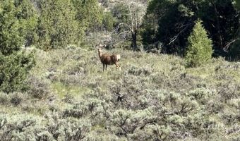 ALTON, Alton, UT 84710