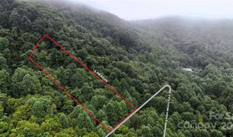 Killdevil Hill Lane unit 9 & 10 9 & 10, Bat Cave, NC 28792