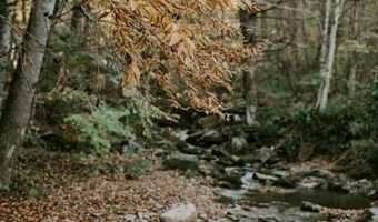 2753 Dutch Creek Rd, Banner Elk, NC 28604