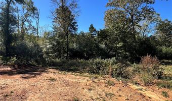 1011 Granny Hollar Rd, Atkins, AR 72823