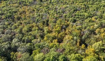 425 Woodland Rd, Accord, NY 12404