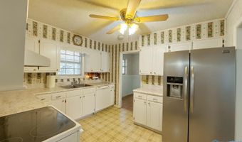 1007 Julian Ave, Albertville, AL 35950