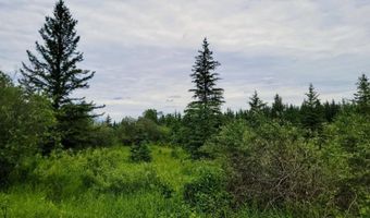 Xxx Heino Road, Angora, MN 55703