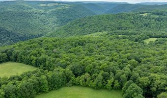 000 Bear Ridge Rd, Albright, WV 26519