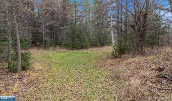 TBD Lane 55 County Road 341, Aurora, MN 55705