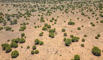 County Road 8643, Concho, AZ 85924