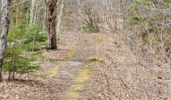 0 Clarks/Woodland Trl 409-4, Alexandria, NH 03220