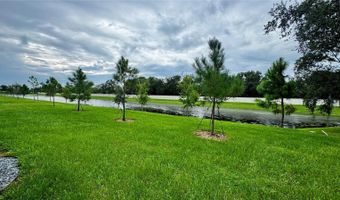 294 MANGROVE SHADE Cir, Apollo Beach, FL 33572