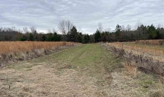 34655 Co Rd 49, Beaverton, AL 35544