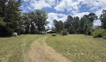 1420 Plametto Rd, Sparkman, AR 71763