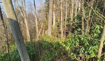 Poplar Ridge Road, Banner Elk, NC 28604