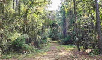 0 Lowery Rd Lot #10, Atmore, AL 36502