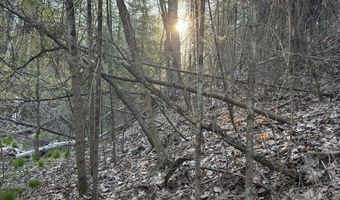 V/L Wildwood Road lot 1, Alger, MI 48610