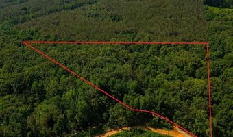 0 County Road 217, Blue Springs, MS 38828