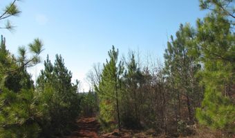 Buckhead Rd, Blair, SC 29015