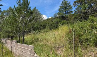 TBD-2 Vine Mesa Ave, Beulah, CO 81023