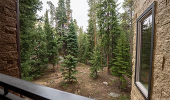 765 COLUMBINE Rd C203, Breckenridge, CO 80424