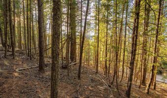 El Camino Real lot 35, Angel Fire, NM 87710