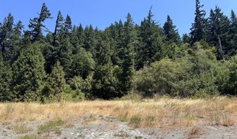 Silver Creek RD 2, Gold Beach, OR 97444
