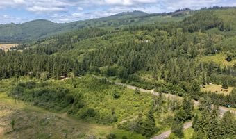 Lewis River Rd, Ariel, WA 98603