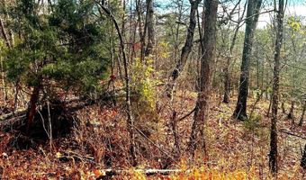 KING Street, Basye, VA 22810