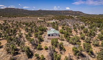 413 Delasso Loos Rd, Blanco, NM 87412