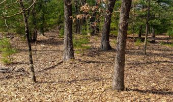 Dover Drive lot 2 +/-43 Ac, Adams, WI 53910