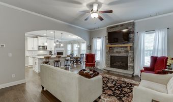 8665 Etowah Bluffs Rd, Ball Ground, GA 30107