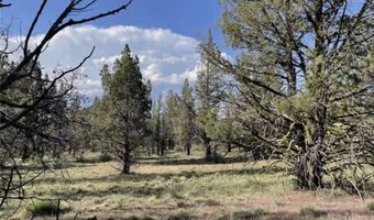 Hilltop Lane, Alturas, CA 96101
