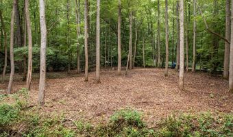 1034 Chestnut Flats Rd, Andrews, NC 28901