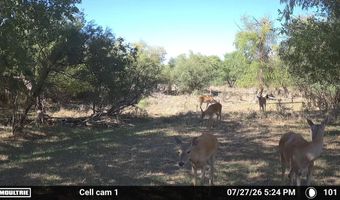 County Road 239, Afton, TX 79220