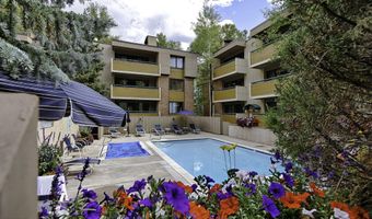 1020 E Hopkins Ave 9, Aspen, CO 81611