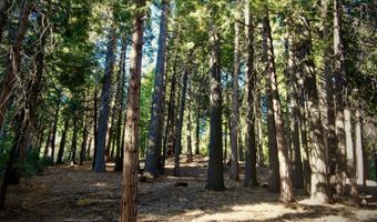 3285 Pocatello Cir, Camp Connell, CA 95223