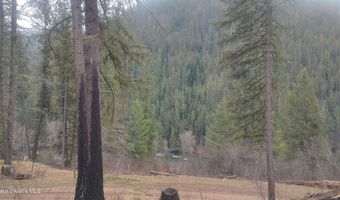 480 Dunn Peak Rd, Avery, ID 83802