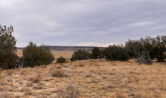 County Road 91.9, Aguilar, CO 81020