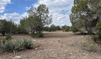 46625 N Jackrabbit Cir, Ash Fork, AZ 86320