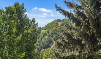 500 W Francis St, Aspen, CO 81611