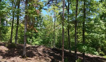 Lot 42 Bayside Boulevard, Bean Station, TN 37708