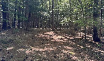 Lot 20 -20.3 Farr Road Lot 20-Lot 20.3 Farr Rd and Lot 11-11-1 Brook St, Chesterfield, NH 03466